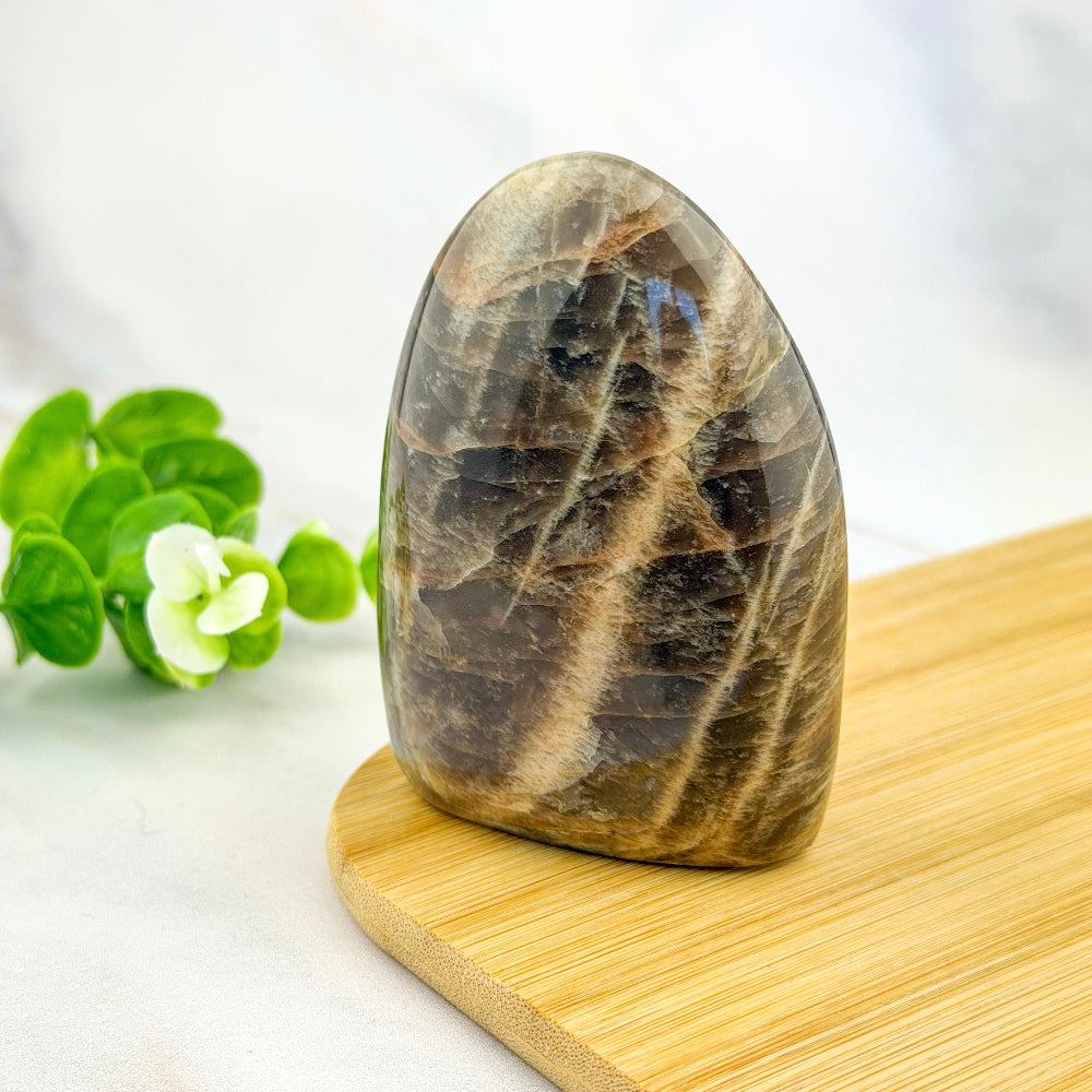 Forme libre en pierre de lune noire
