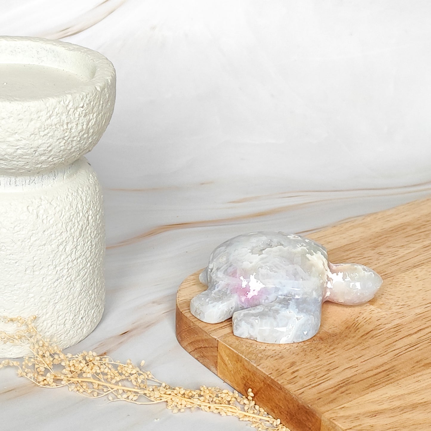 Tortue en Agate Plume