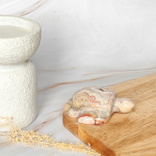 Tortue en Agate Crazy Lace Rose drusée