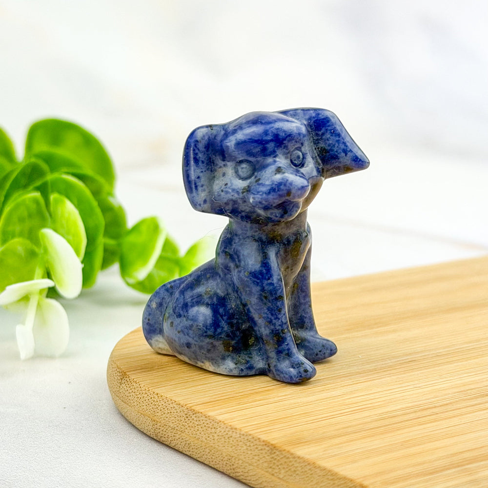 chien en sodalite