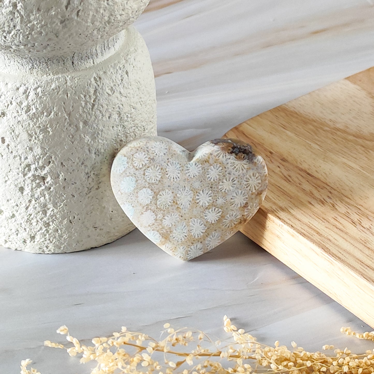 Coeur en Corail Fossilisé