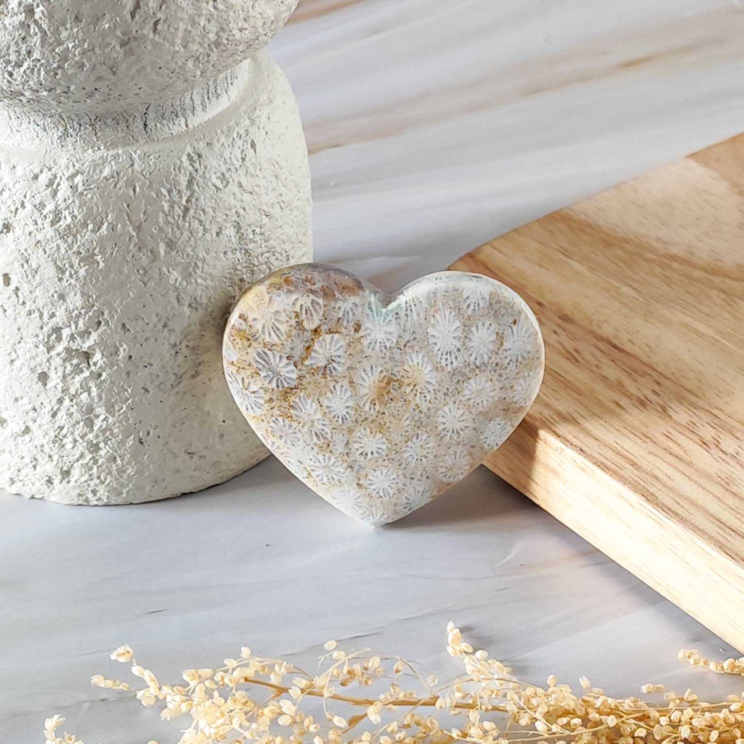 Coeur en Corail Fossilisé