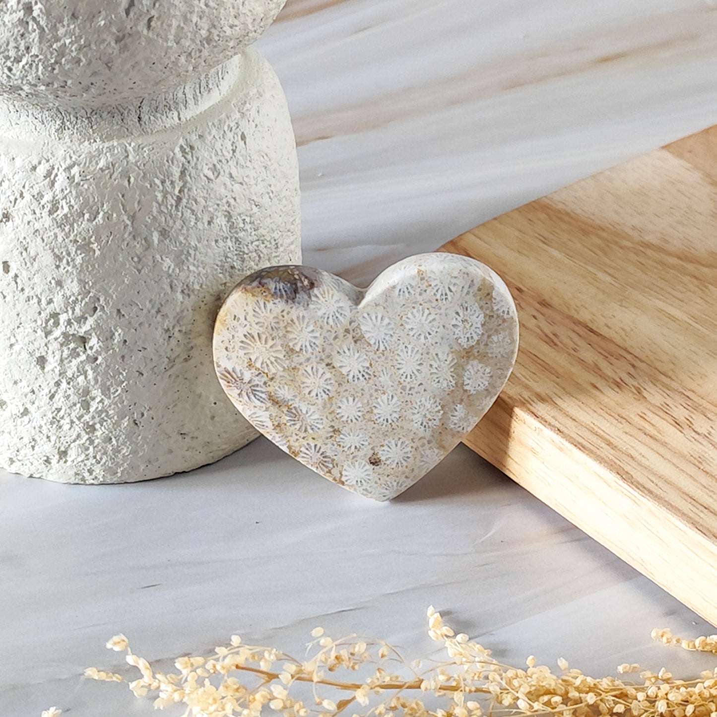 Coeur en Corail Fossilisé