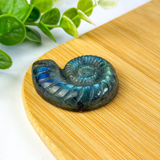 Labradorite : La Pierre du Mois de Décembre pour Protéger et Apaiser ton Énergie - Le Cristal d'Eden