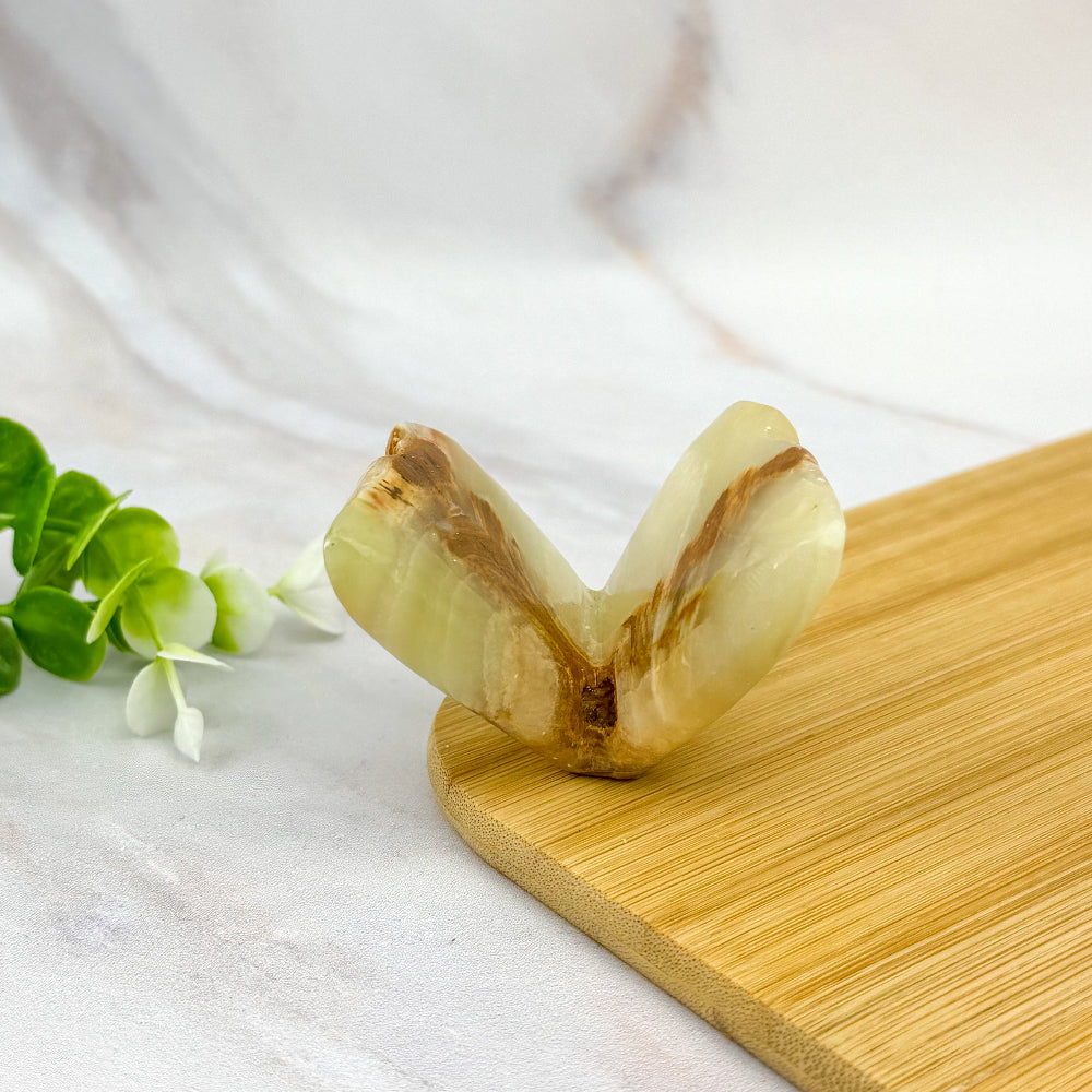 insecte papillon en onyx vert