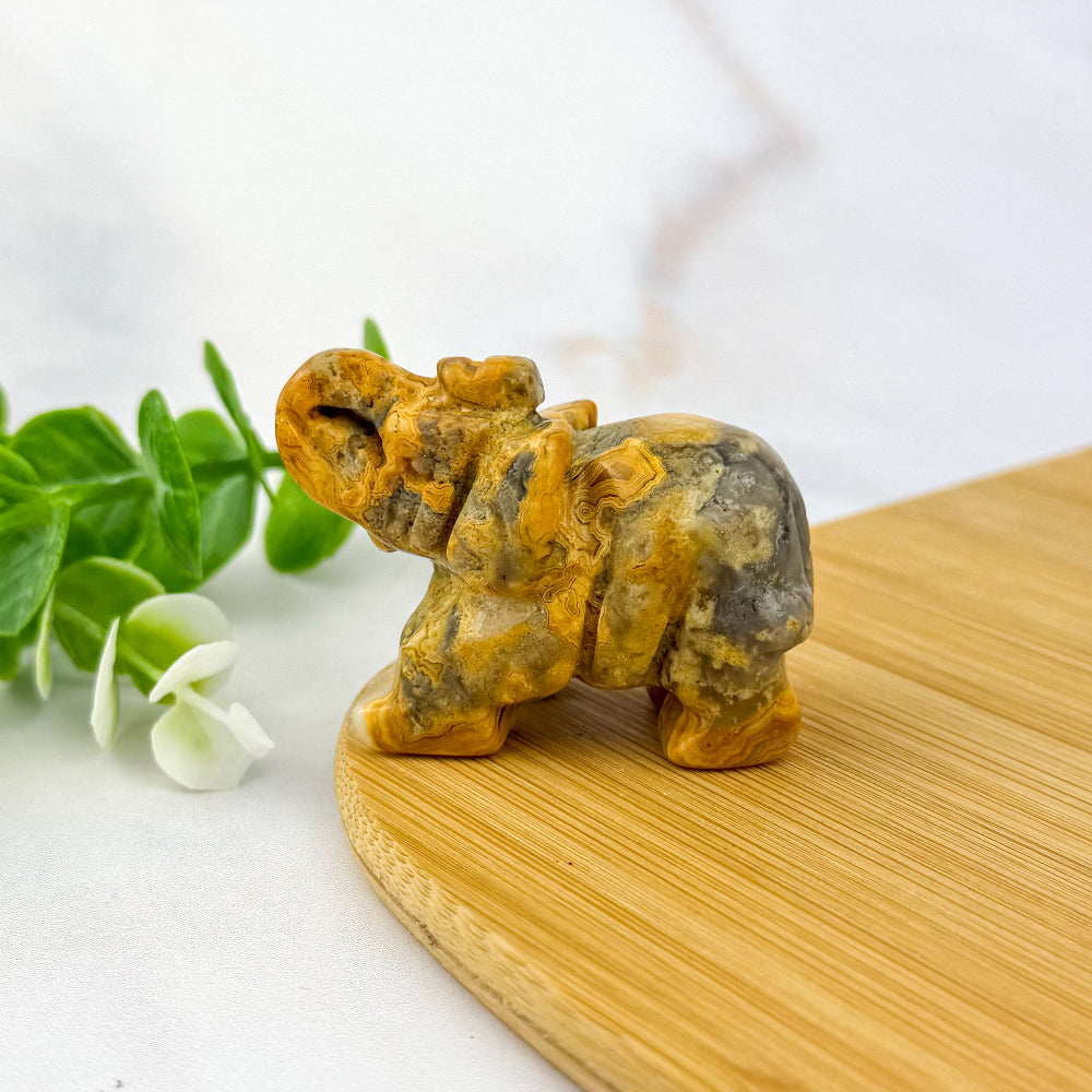 éléphant 5 cm