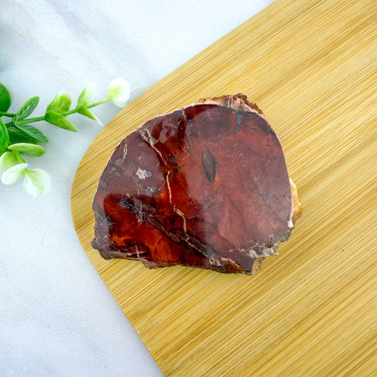 Tranche de bois fossilisé