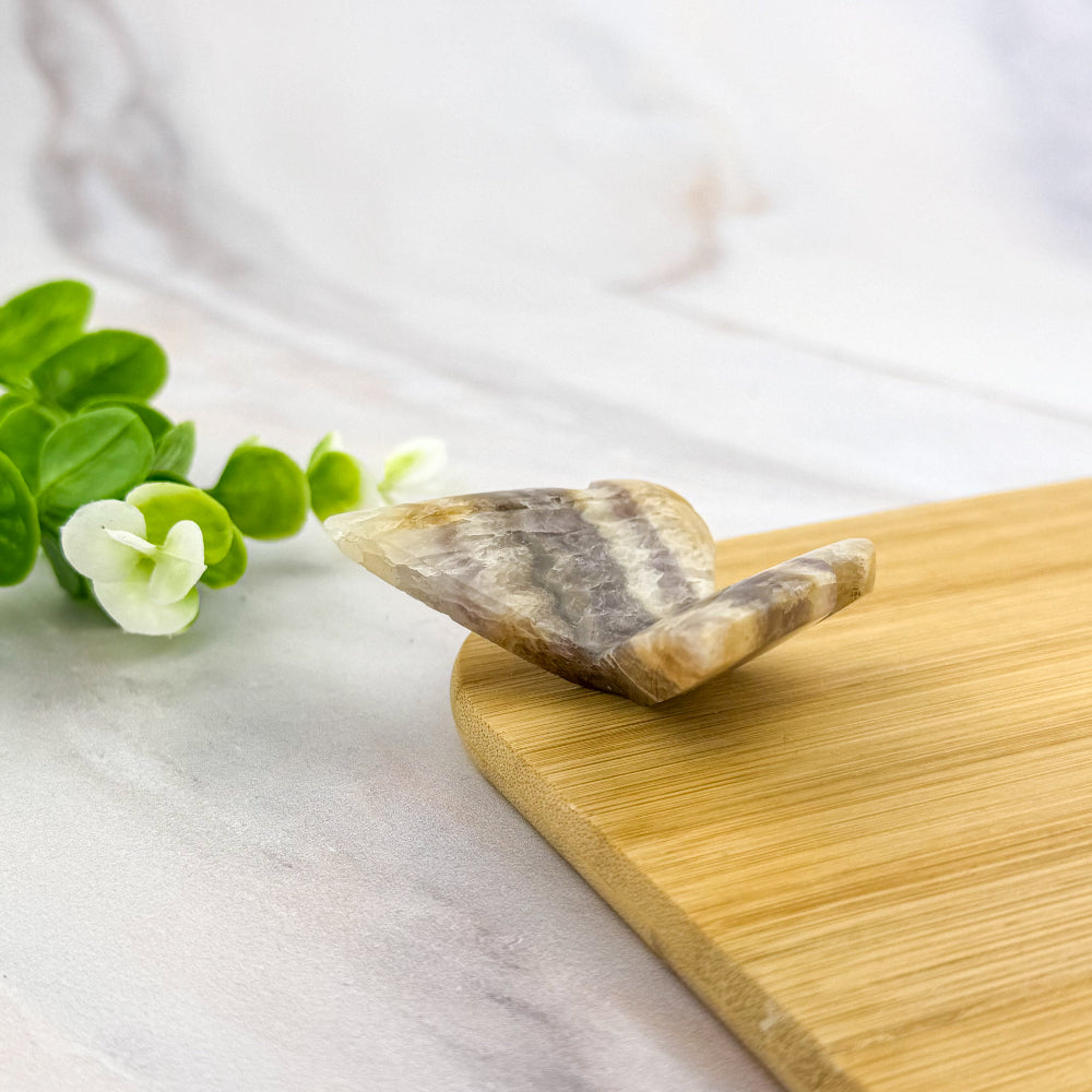 papillon en améthyste chevron