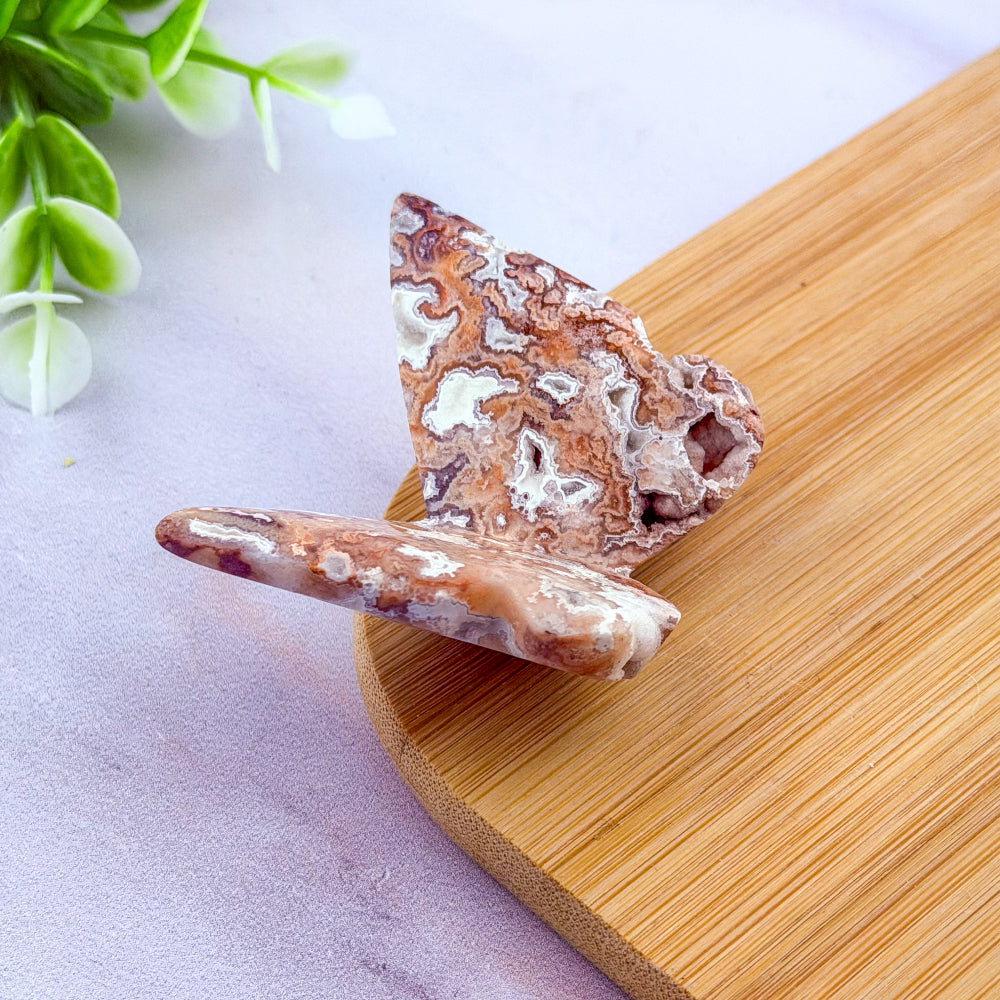 Papillon en Agate Crazy lace rose