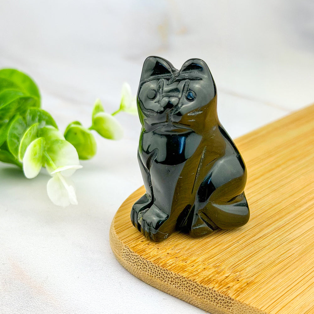 chat en obsidienne noire