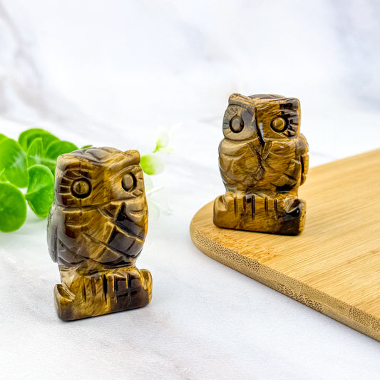 chouette ou hibou en oeil de tigre