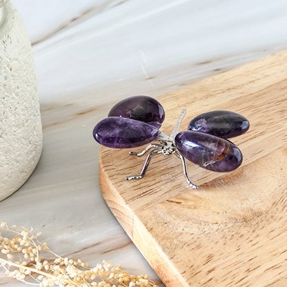 libellule améthyste