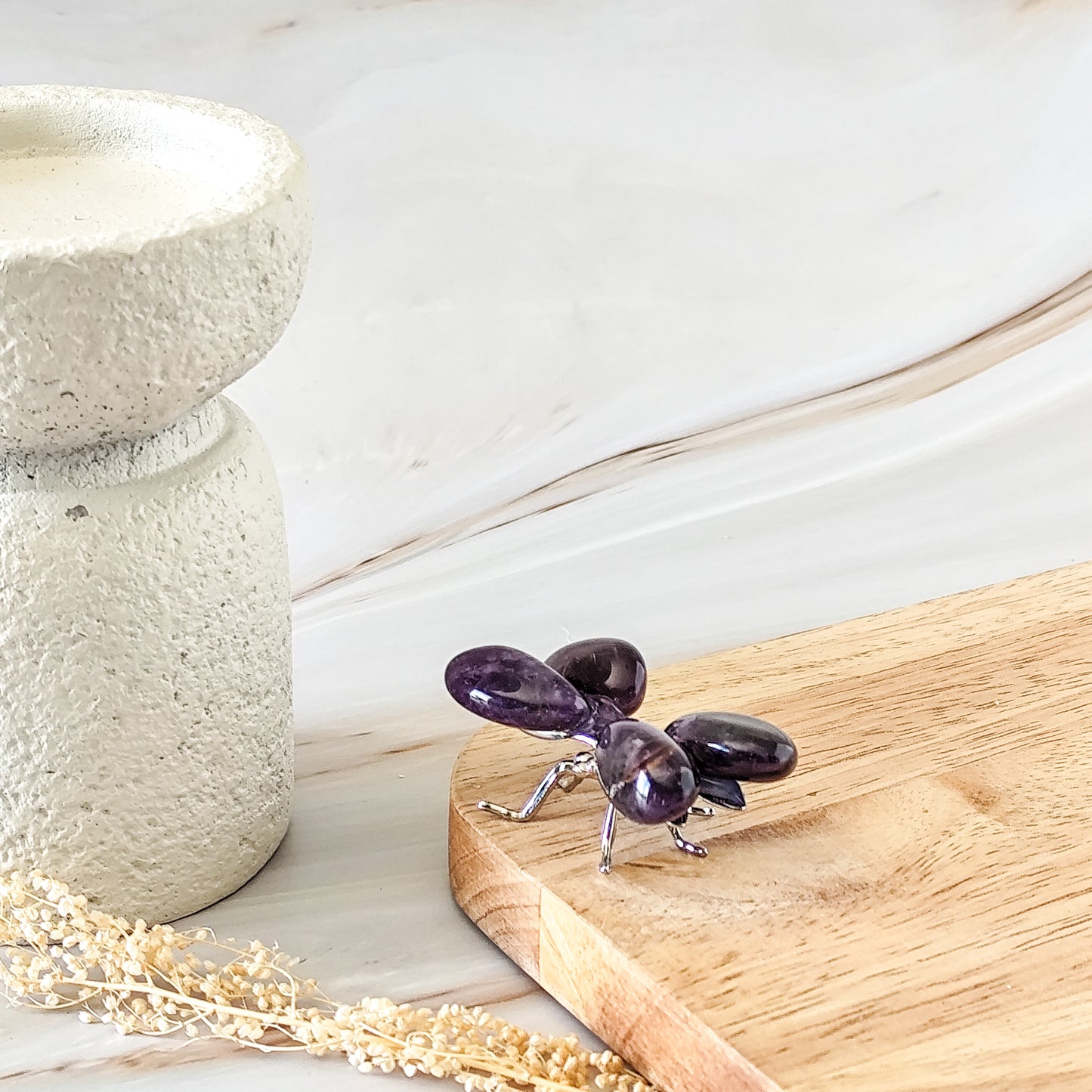 libellule améthyste