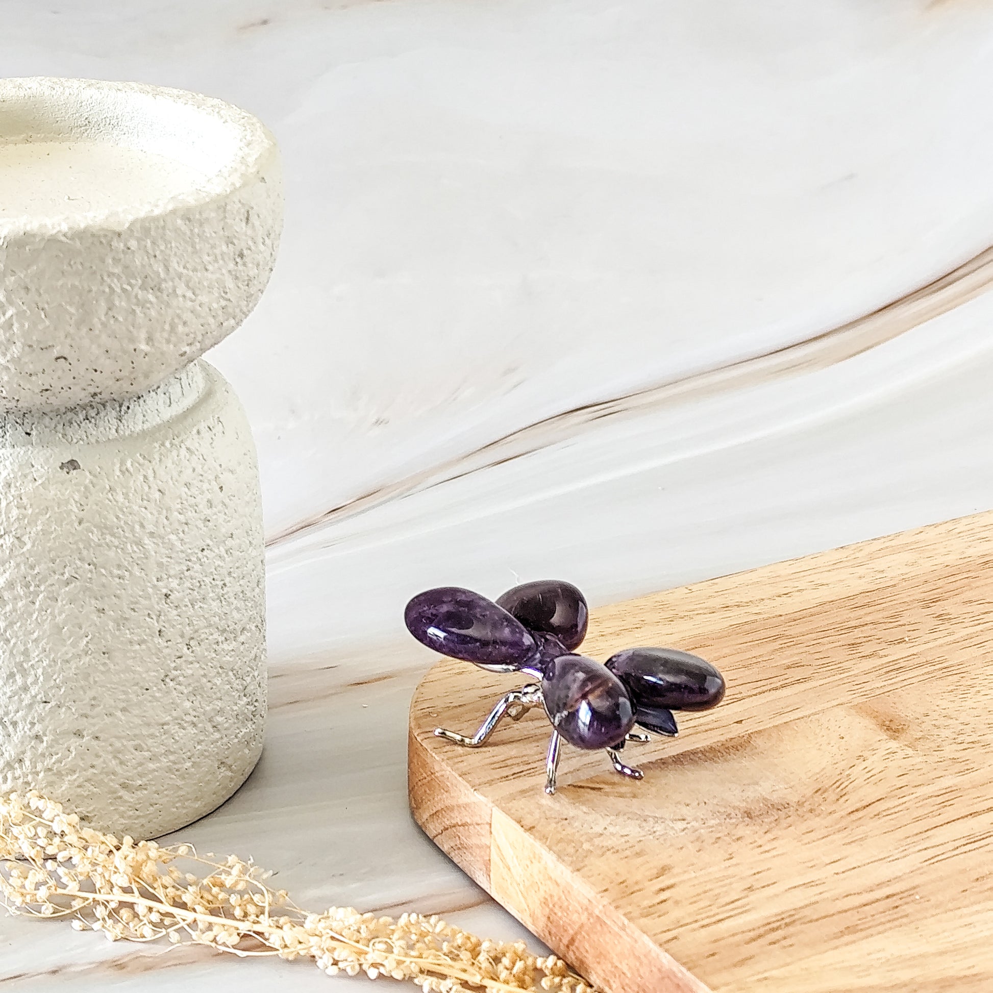 libellule améthyste