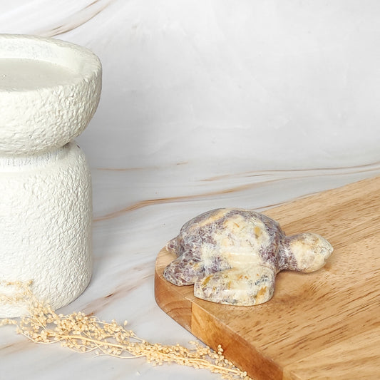 Tortue en Améthyste Chevron