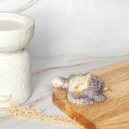 Tortue en Améthyste Chevron