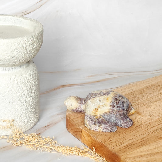 Tortue en Améthyste Chevron