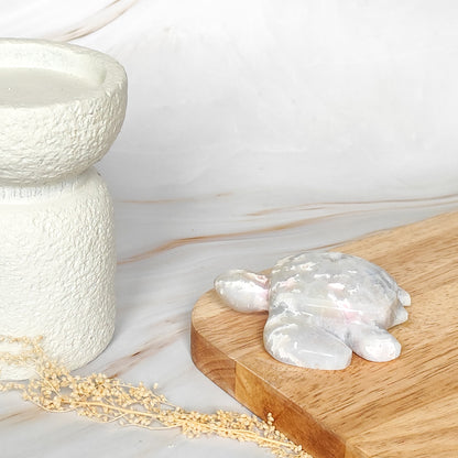 Tortue en Agate Plume