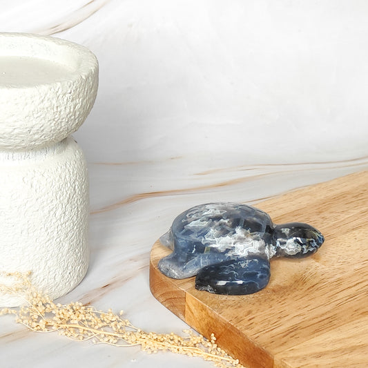 Tortue en Agate Bleue Pacifique