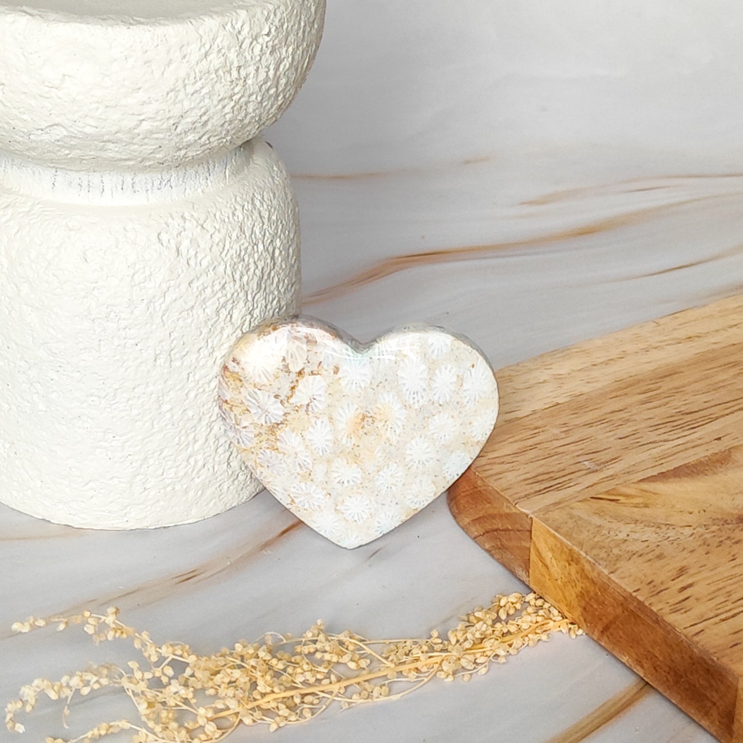 Coeur en Corail Fossilisé