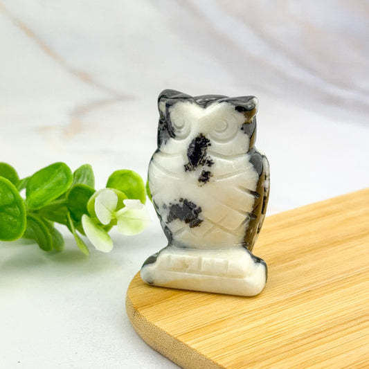 Chouette noire et blanche