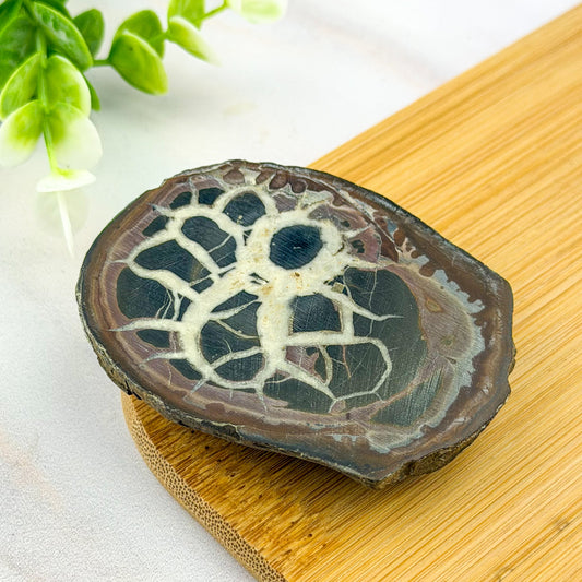 nodule de septaria