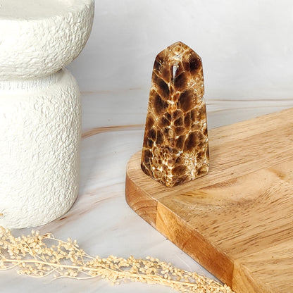 Pointe en Calcite Chocolat