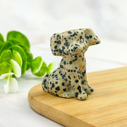 chien en jaspe dalmatien
