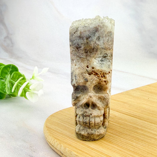 crâne avec des cristaux