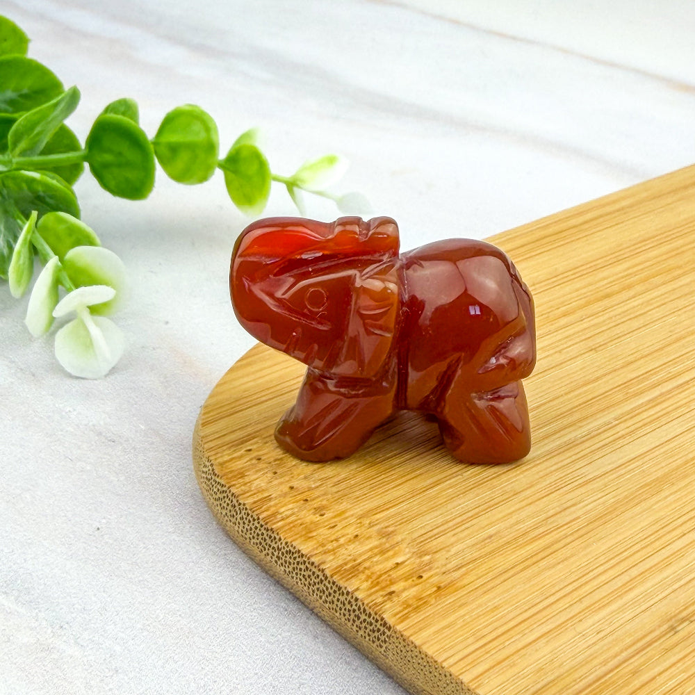 animaux en cornaline