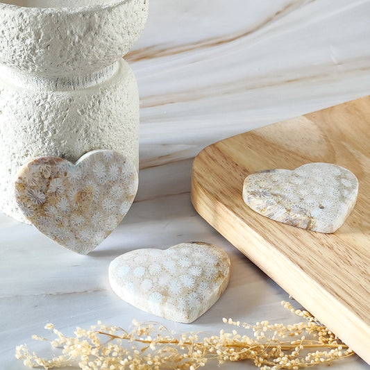 Coeur en Corail Fossilisé